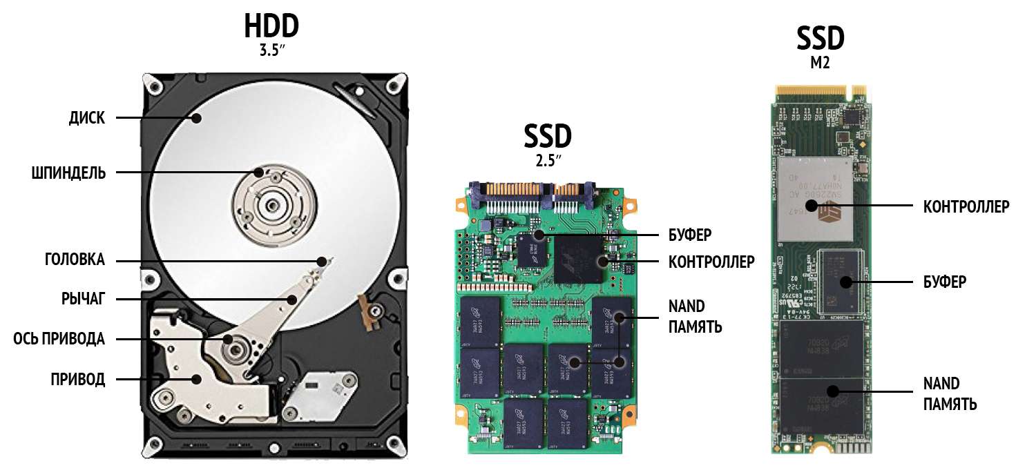 Выбор жесткого диска: HDD или SSD?